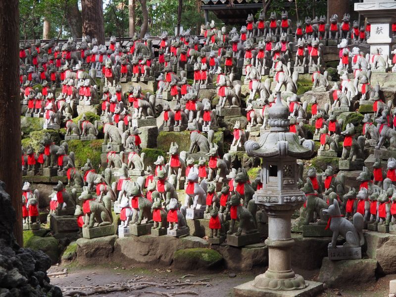 From Nagoya: Korankei Gorge &Toyokawa Inari - The practical details that can make the day easier