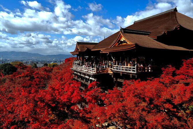 From Nagoya Kyoto Day Tour with Kobe Beef Shabu Shabu Lunch - The Sum Up