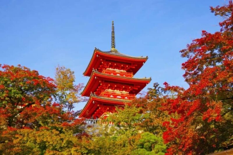 From Nagoya: Kyoto Day Tour with Pork Shabu-Shabu Lunch - Who Will Love This Tour?