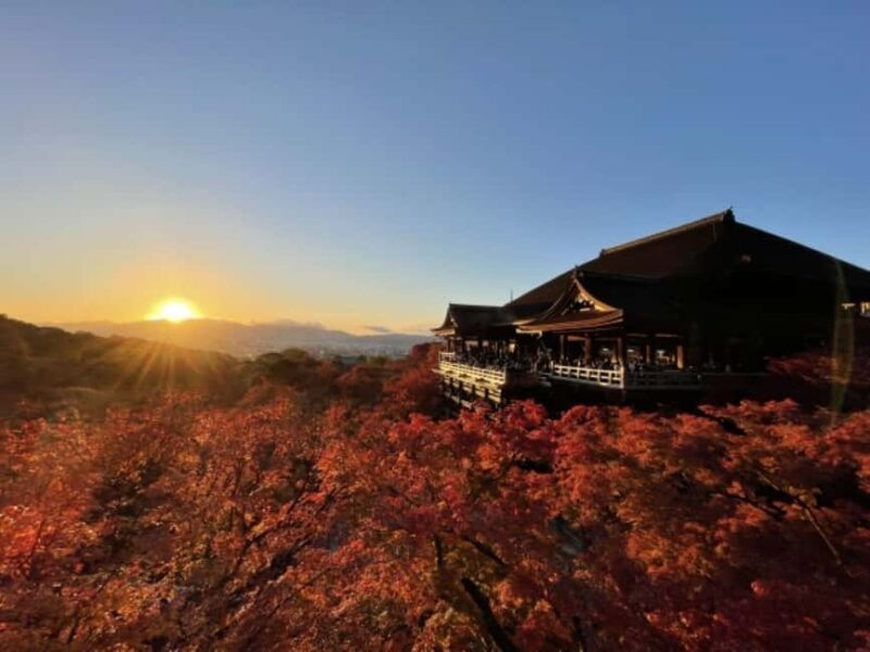 From Nagoya: Kyoto Day Tour with Pork Shabu-Shabu Lunch - Transportation & Group Dynamics