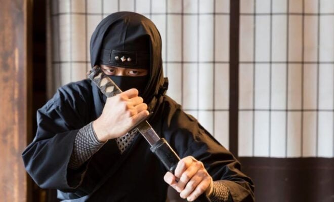 From Nagoya: Myths and Mystery of Ninja and the Tokaido Road - Cultural Significance of Ninjas
