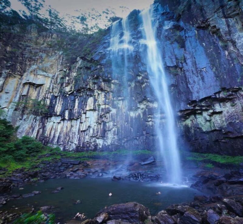 From Nagoya: Osaka Park, Katsuo-ji Temple, & Falls Tour - A Detailed Look at the Tour Experience