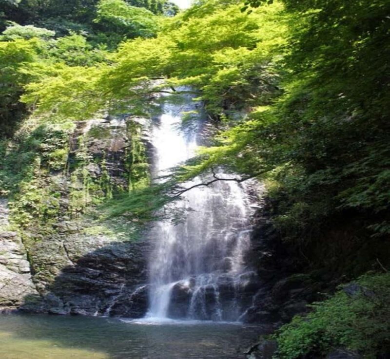 From Nagoya: Osaka Park, Katsuo-ji Temple, & Falls Tour - Who Is This Tour Best For?