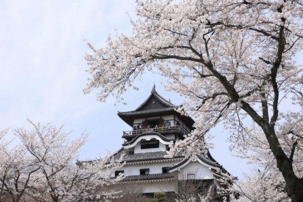 From Nagoya: Samurai Swords and Japans Oldest Castle - Tips for a Comfortable Journey