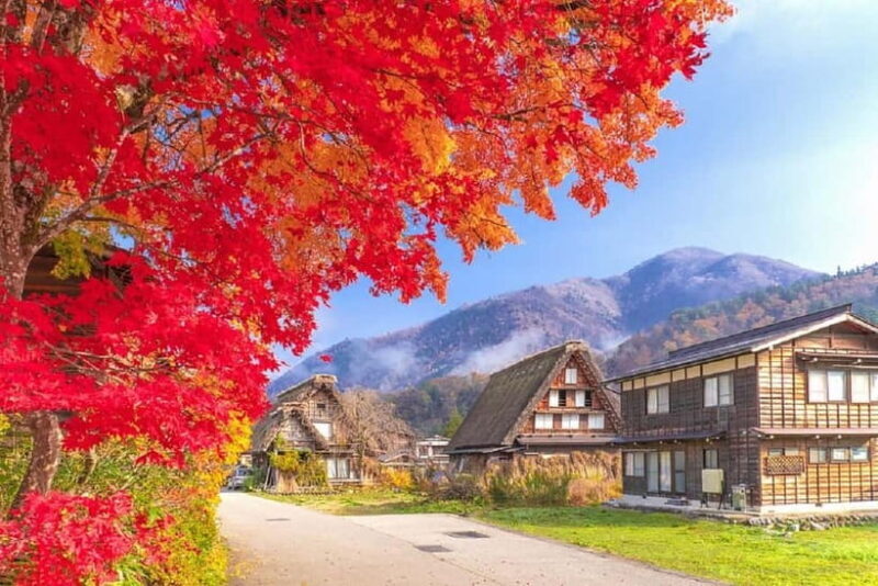From Nagoya: Shirakawa-go & Hida-Takayama Full Day Trip - The Iconic Shirakawa-go: A Gassho Village Wonder