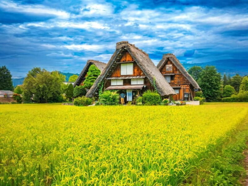 From Nagoya: Shirakawa-go UNESCO Village Day Trip w/ Pickup - Who Should Consider This Tour?
