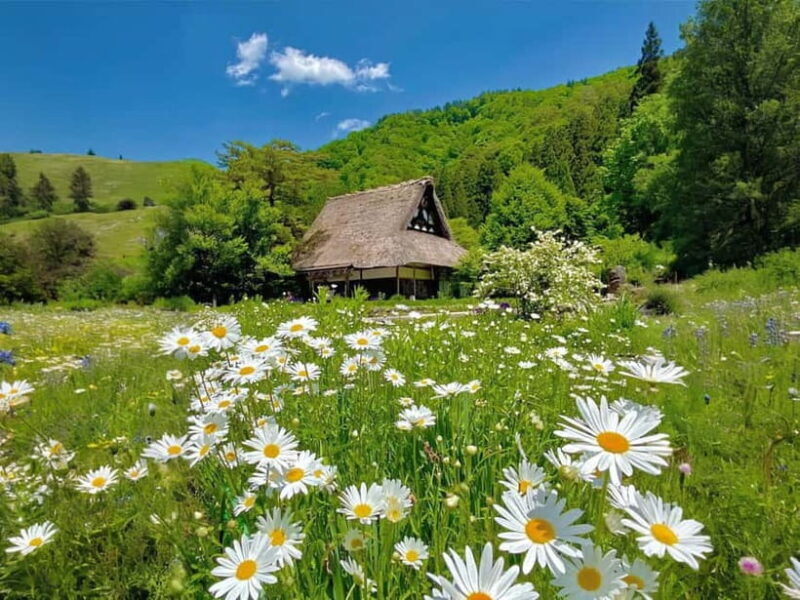 From Nagoya: Shirakawa-go UNESCO Village Day Trip w/ Pickup - FAQ