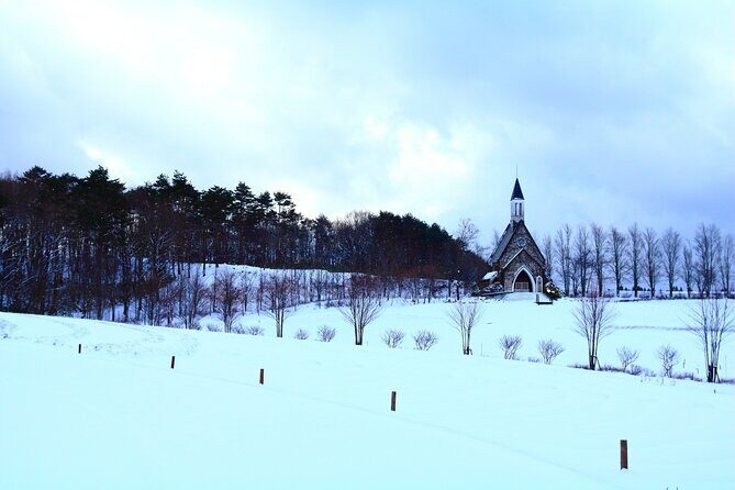 From Nagoya: Snow Day in the Japan Alps & Shirakawago - The Sum Up: Is This Tour Worth It?