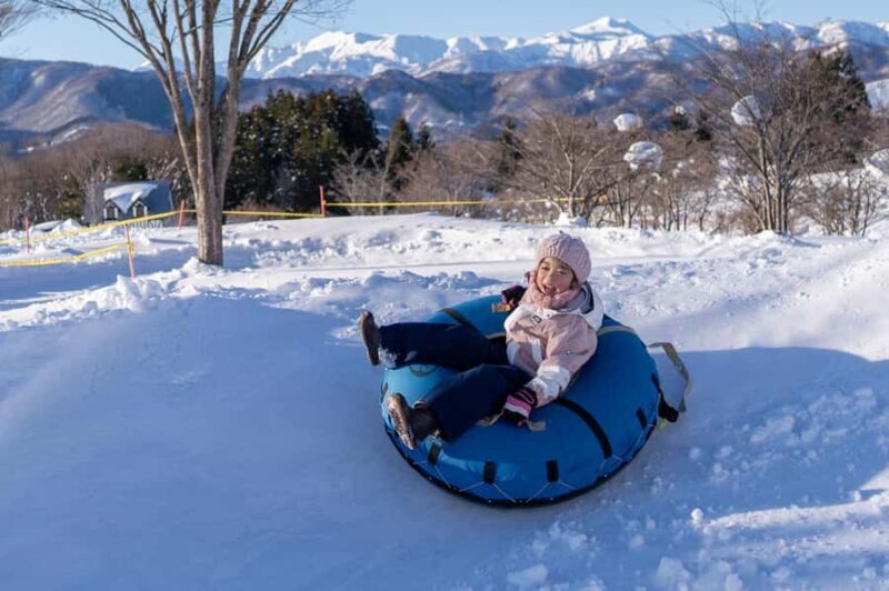 From Nagoya: Snow Day in the Japan Alps & Shirakawago - Good To Know