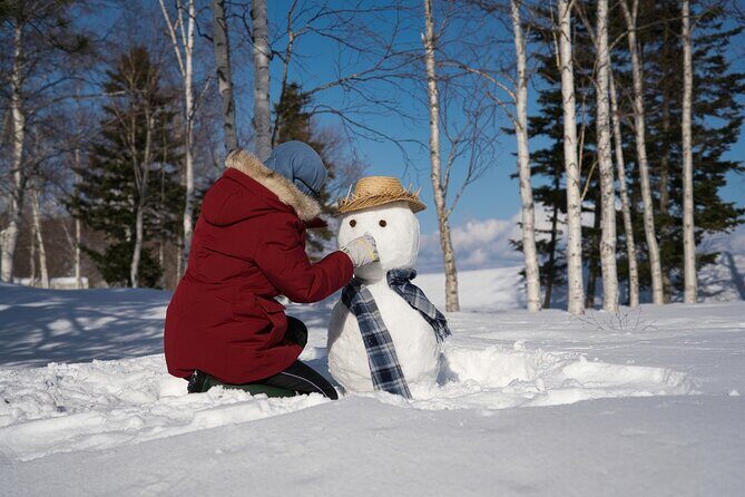 From Nagoya: Snow Day in the Japan Alps & Shirakawago - An In-Depth Look at the Itinerary