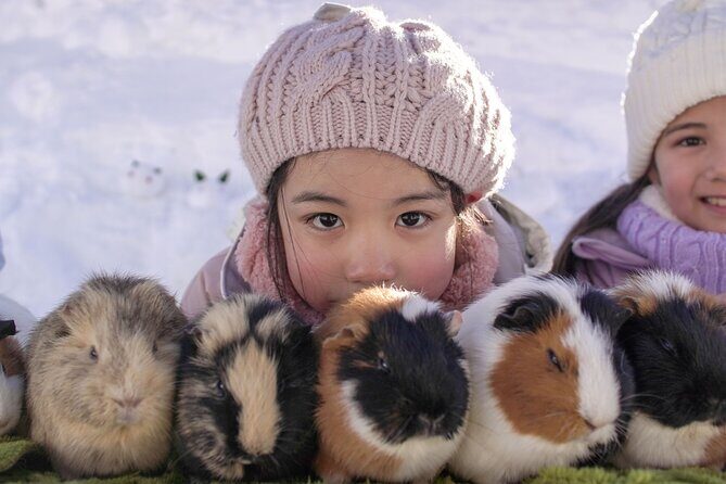 From Nagoya: Snow Day in the Japan Alps & Shirakawago - Final Verdict