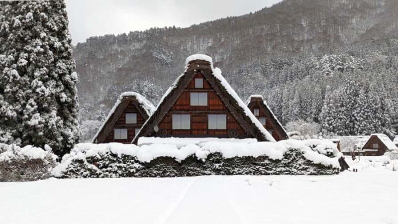 From Nagoya: Snow Day in the Japan Alps & Shirakawago - Good To Know