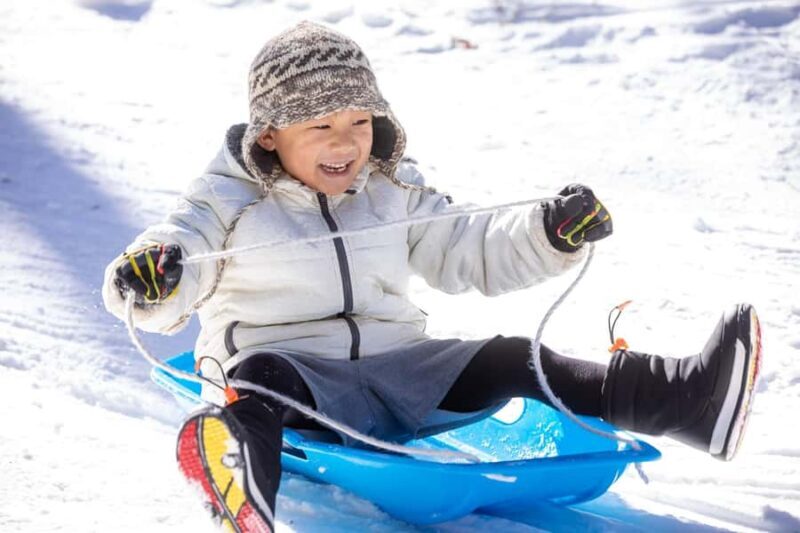 From Nagoya: Snow Day in the Japan Alps & Shirakawago - Practical Details and Tips