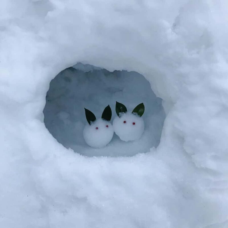 From Nagoya: Snow Day in the Japan Alps & Shirakawago - Who Is This Tour Best For?