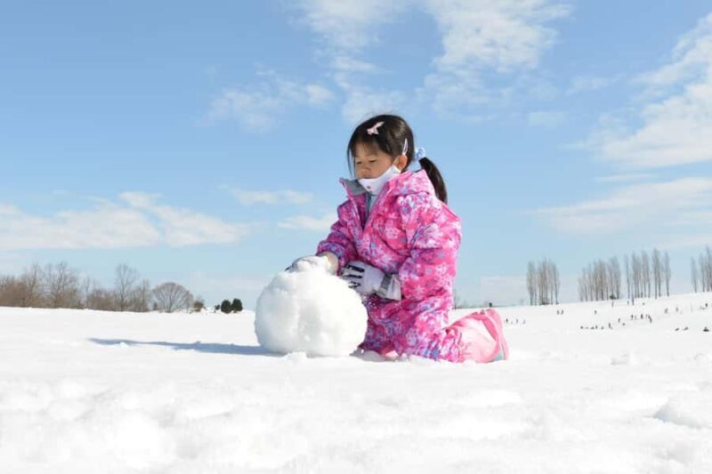 From Nagoya: Snow Day in the Japan Alps & Shirakawago - FAQ