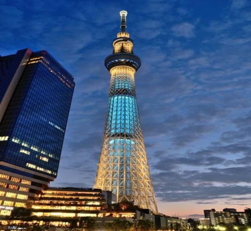 From Nagoya: Tokyo Private Scenic Tour with English Guide - Who Will Love This Tour?