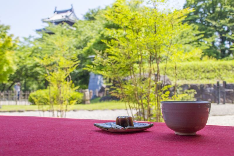 From Nagoya: Wagashi Workshop & Matcha Tea Field Tour - Inside the Nishio matcha factory