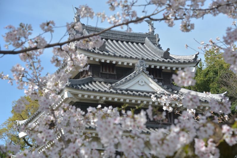 From Nagoya: Wagashi Workshop & Matcha Tea Field Tour - Meeting point and practical details