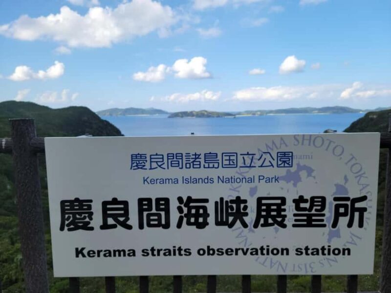 From Naha : Kerama, Tokashiki Island and Whale Watching Tour - Whale Watching: The Main Event