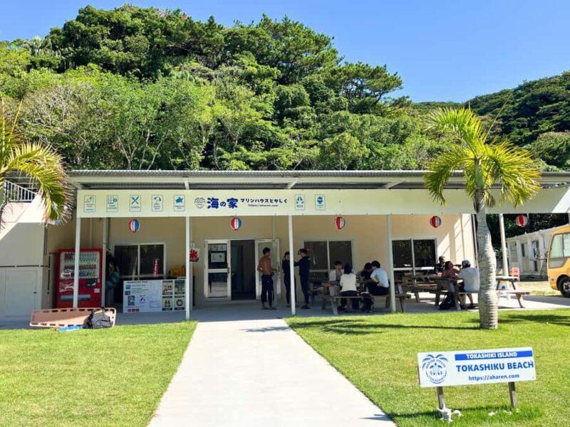 From Naha: Tokashiki Island Turtle Snorkeling Tour - Who Should Consider This Tour?