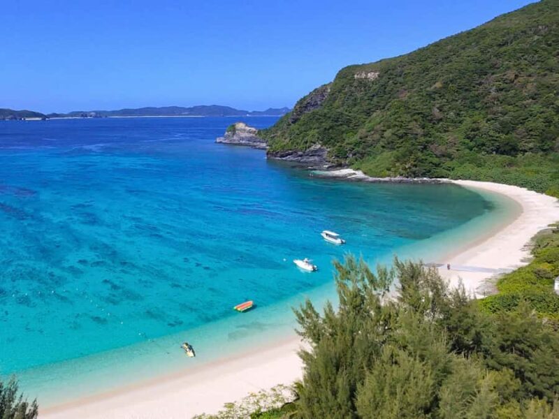 From Naha: Tokashiki Island Turtle Snorkeling Tour - Final Thoughts: Who Should Consider This Tour?