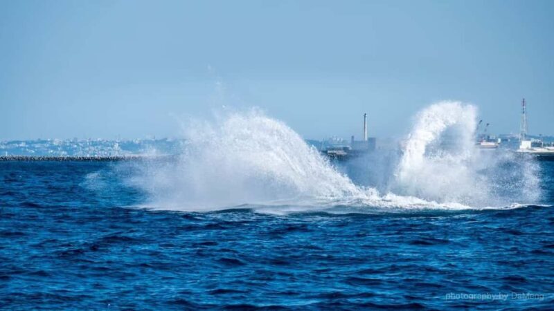 From Naha Whale Watching (Naha city Pickup) English guide - Price and Value Analysis