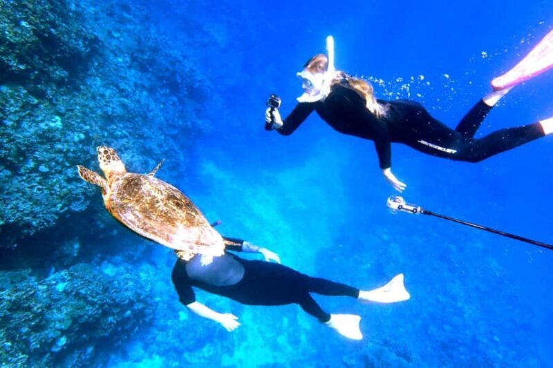 From Naha:Full-Day Kerama Island Experience 1Dive/Snorkeling - Who Will Love This Tour?