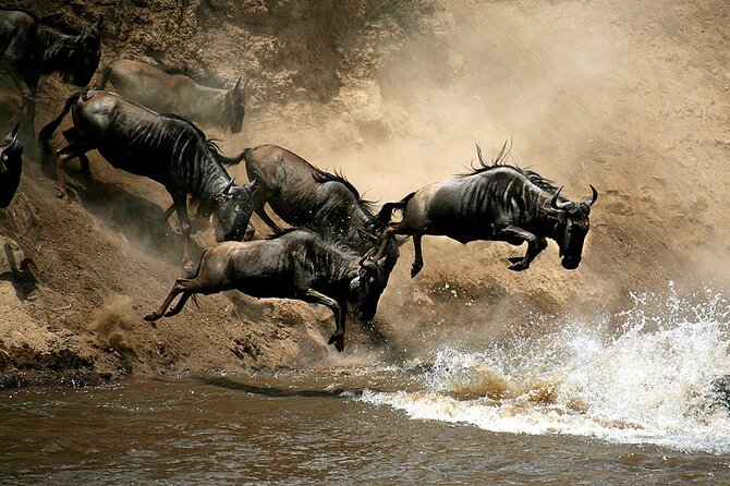 From Nairobi: 4 Days Masai Mara and Lake Nakuru Joining Safari - Accommodation Details