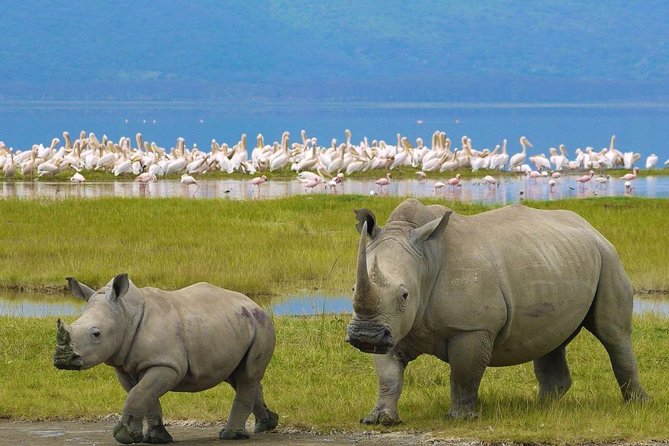 From Nairobi: 4 Days Masai Mara and Lake Nakuru Joining Safari - Important Notes for Travelers