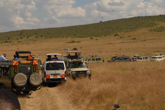 From Nairobi: 4 Days Masai Mara and Lake Nakuru Joining Safari - Customer Reviews