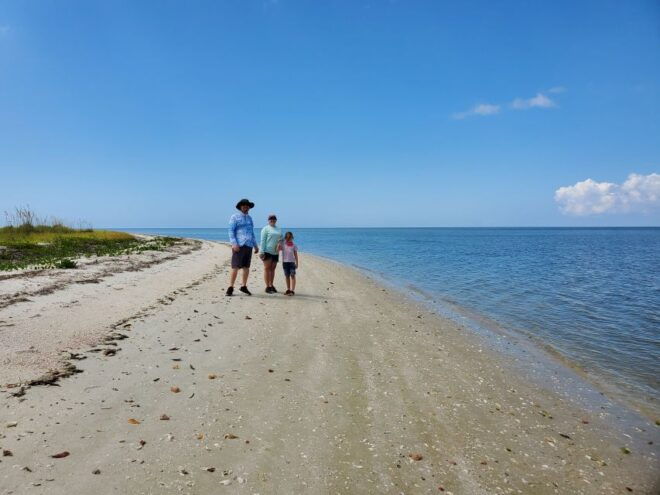 From Naples: 10,000 Islands Boat Trip and Everglades Walk - The Sum Up
