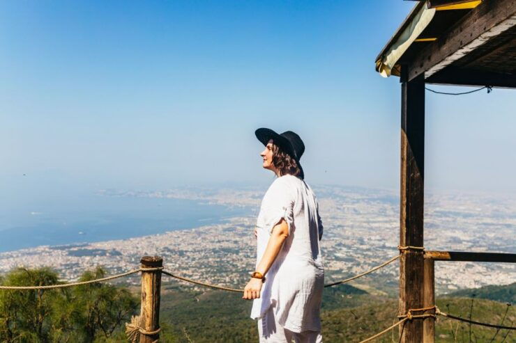 From Naples: All-Inclusive Mount Vesuvius Half-Day Tour - Tour Highlights