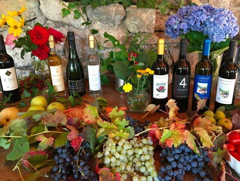 From Naples: Amalfi Coast Tour and Wine Tasting with Lunch - Good To Know