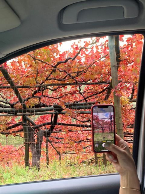 From Naples: Amalfi Coast Tour – Positano, Amalfi & Ravello - Experience Itinerary