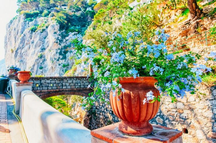 From Naples: Capri and Blue Grotto Day Tour - Activity Details