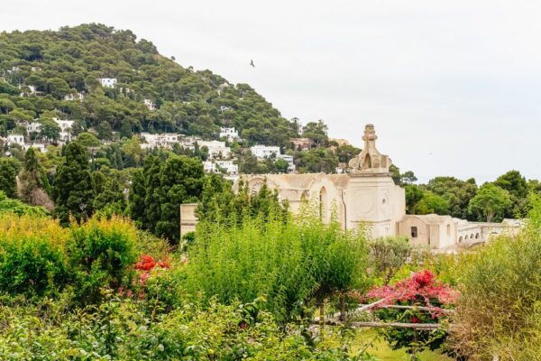 From Naples: Capri and Blue Grotto Day Tour - Review Summary