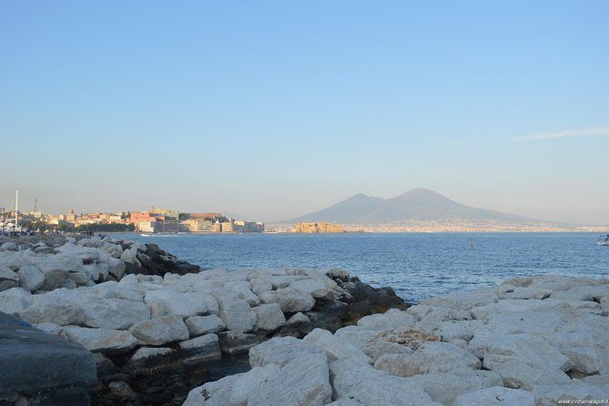 From Naples Cruise or trains Terminal: Half-Day Pompeii Tour - FAQ