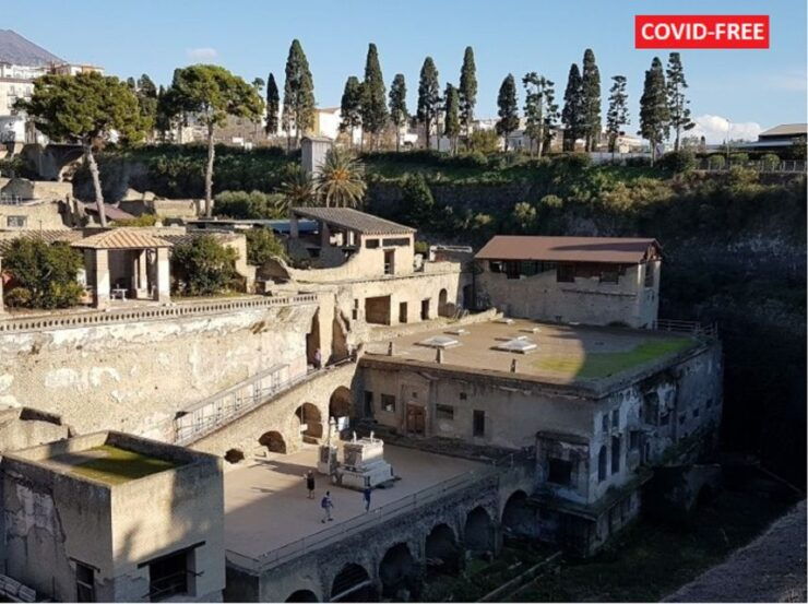 From Naples: Day Trip to Herculaneum With Skip the Line - Experience Highlights