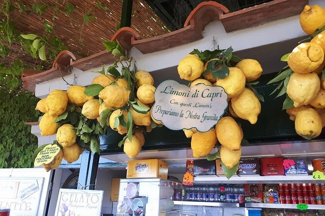 From Naples: Guided Capri Island Day Trip With All Services - Activity Information