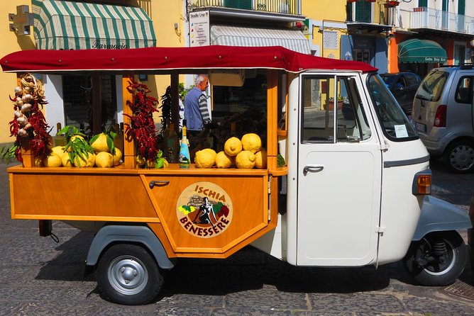 From Naples: Ischia Island Day Trip With Lunch - The Sum Up and Return to Naples
