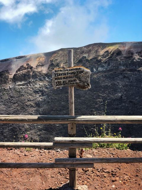 From Naples: Mt. Vesuvius VIP Tour/Small Group - The Sum Up