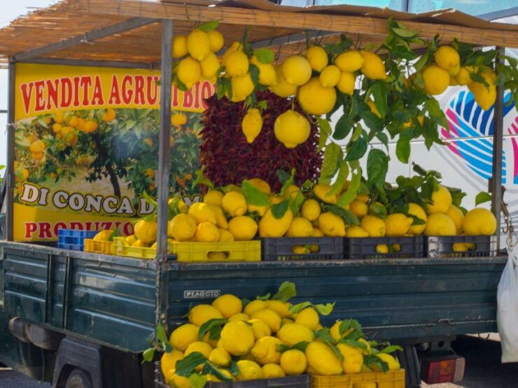 From Naples: One-Way Transfer to Sorrento With Pompeii Tour - Pricing and Duration Details