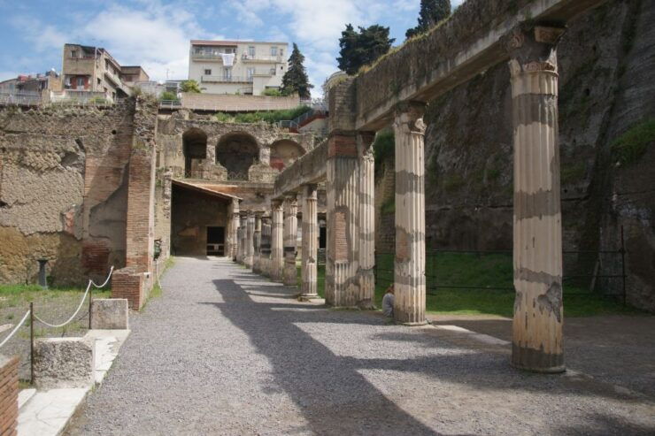 From Naples or Herculaneum: Half-Day Tour in Herculaneum - Good To Know