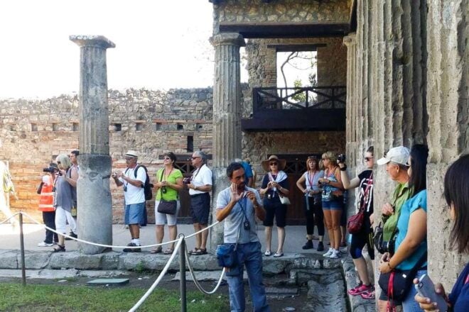 From Naples or Sorrento: Pompei Half-Day Tour - Customer Reviews