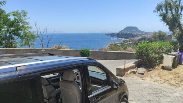 From Naples: Phlegraean Fields & Baia Archaeological Tour - Frequently Asked Questions