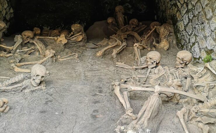 From Naples: Pompeii and Herculaneum Half-Day Private Trip - Trip Details