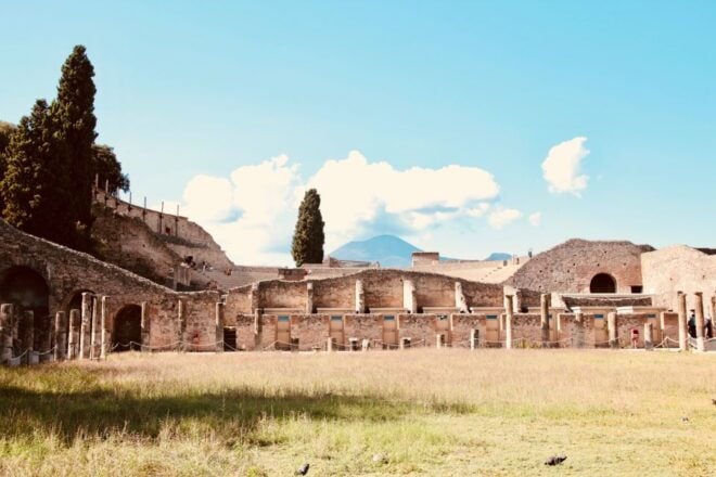 From Naples: Pompeii and Vesuvius Guided Day Trip With Lunch - Review Details