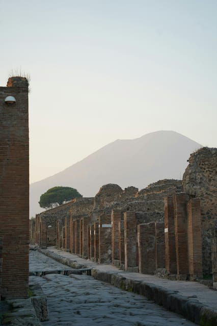 From Naples: Pompeii, Herculaneum, and Vesuvius Private Tour - FAQs