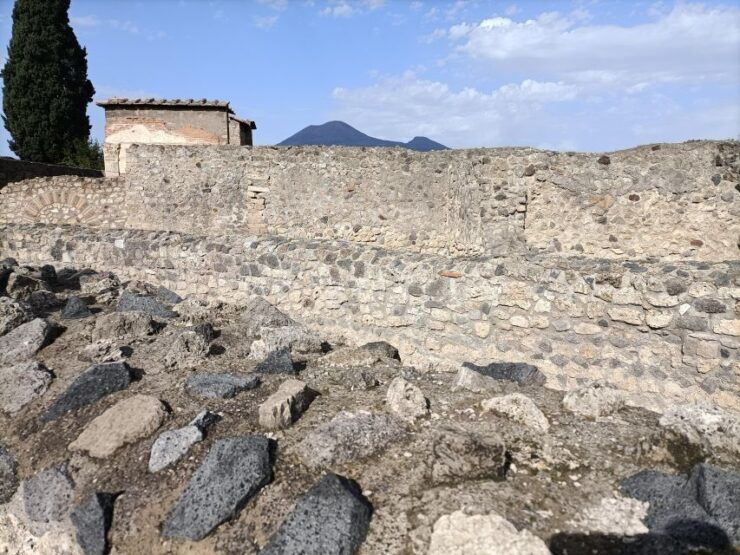 From Naples: Pompeii & Peastum Guided Tours - Tour Highlights