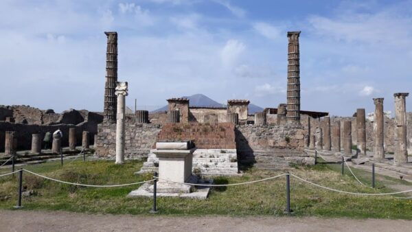 From Naples: Pompeii Private Half Day Tour - The Sum Up